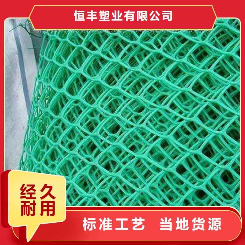 三维植被网-凸结点钢塑土工格栅专注细节专注品质