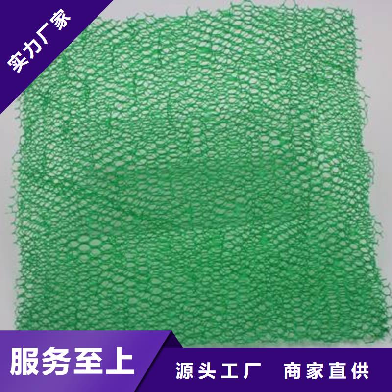 三维植被网-凸结点钢塑土工格栅专注细节专注品质