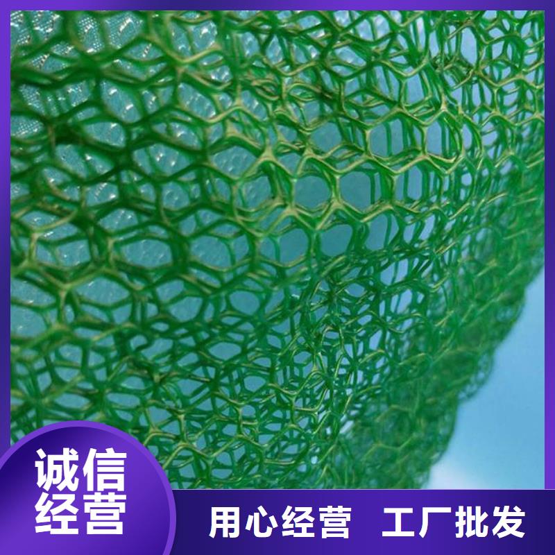三维植被网短丝土工布专业信赖厂家