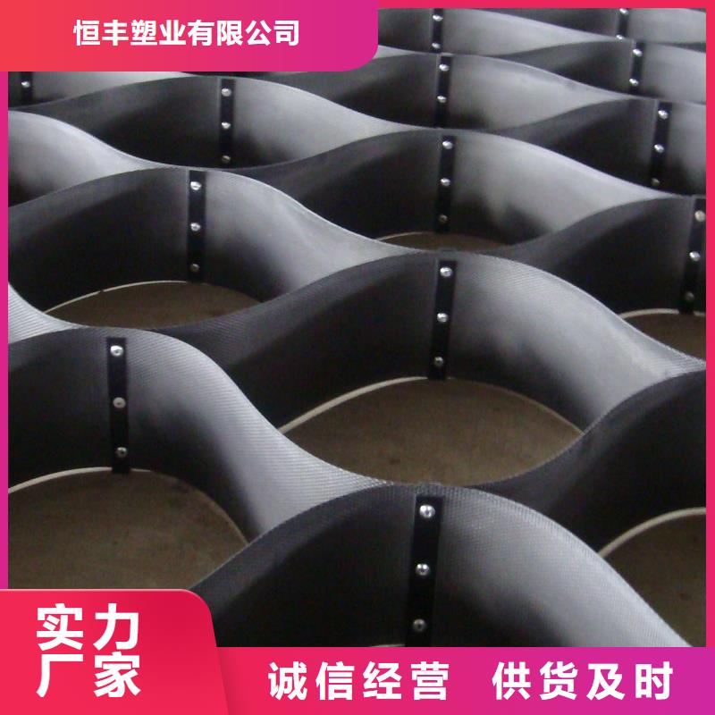 土工格室三维土工网垫生产厂家