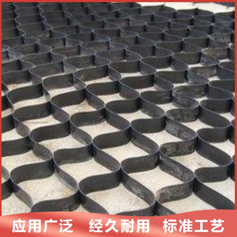土工格室三维土工网垫生产厂家