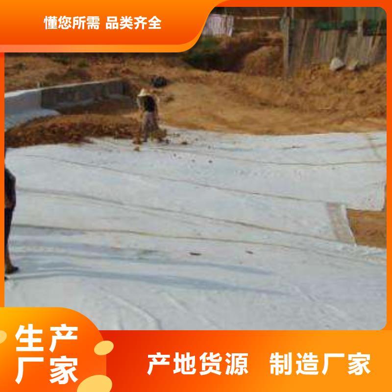 膨润土防水毯货源足发现货