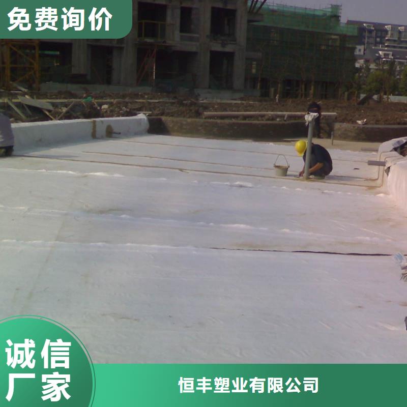 膨润土防水毯,单向塑料土工格栅海量库存