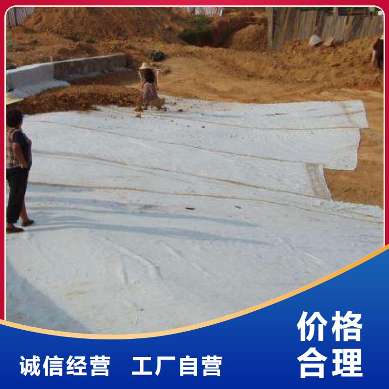 膨润土防水毯货源足发现货