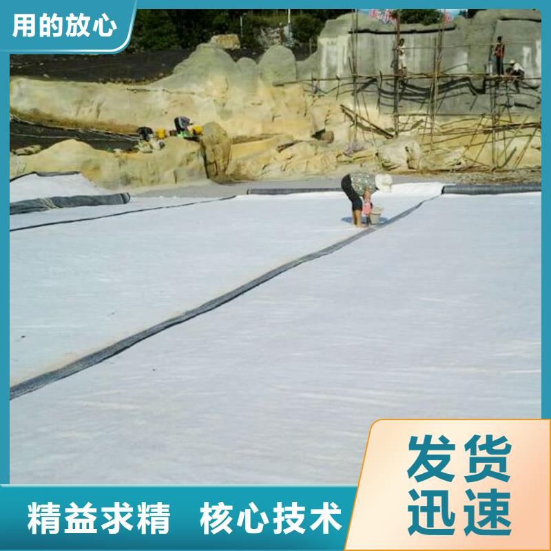 膨润土防水毯生产厂家
