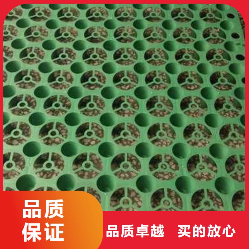 排水板HDPE土工膜源头采购