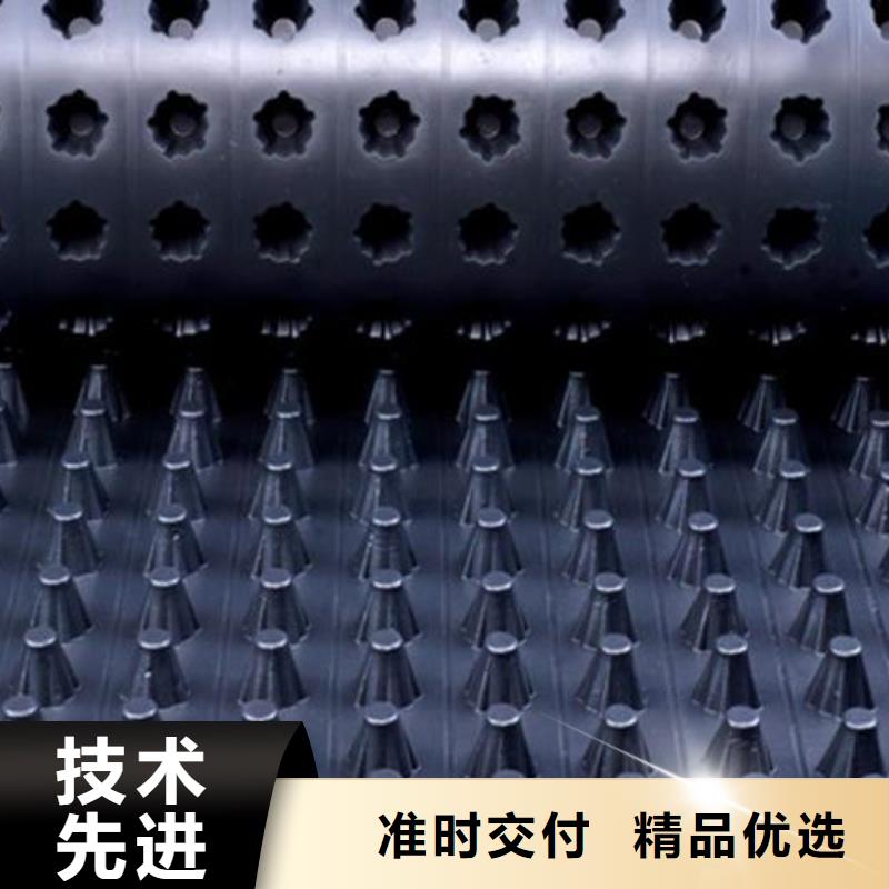排水板HDPE土工膜用心做品质