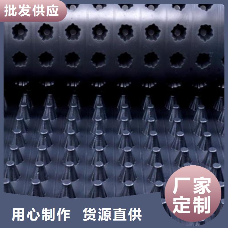 郊县|桦川|牡丹江|哈尔滨|黑河|绥化|大兴安岭|鹤岗|大庆【排水板】,三维植被网原料层层筛选厂诚信经营