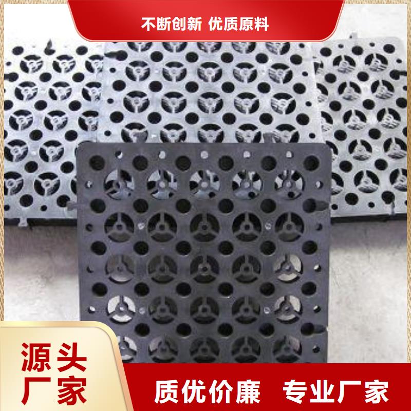 郊县|桦川|牡丹江|哈尔滨|黑河|绥化|大兴安岭|鹤岗|大庆【排水板】,三维植被网原料层层筛选厂诚信经营