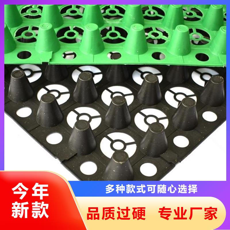 郊县|桦川|牡丹江|哈尔滨|黑河|绥化|大兴安岭|鹤岗|大庆【排水板】,三维植被网原料层层筛选厂诚信经营