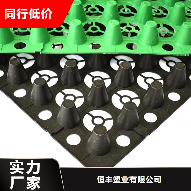 排水板HDPE土工膜用心做品质