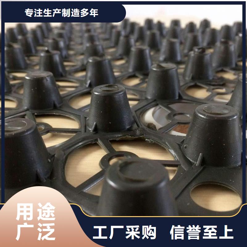 郊县|桦川|牡丹江|哈尔滨|黑河|绥化|大兴安岭|鹤岗|大庆【排水板】,三维植被网原料层层筛选厂诚信经营