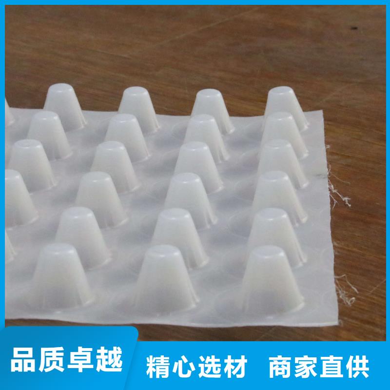 排水板复合土工膜多年行业经验