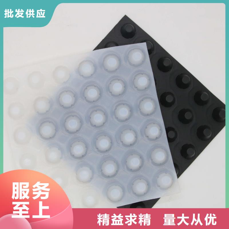 HDPE土工膜视频-HDPE土工膜_黑龙江省佳木斯市市场覆盖前进|抚远|鹤岗|黑河|牡丹江|大兴安岭|齐齐哈尔|大庆等