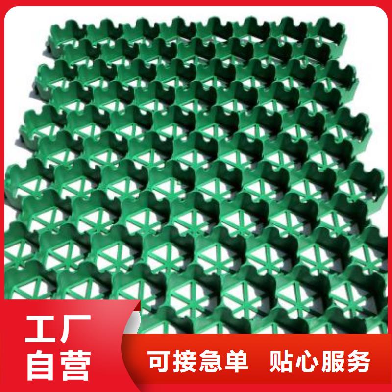 植草格蜂巢格室检验发货