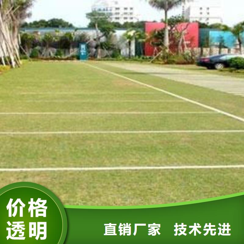 植草格蜂巢格室检验发货