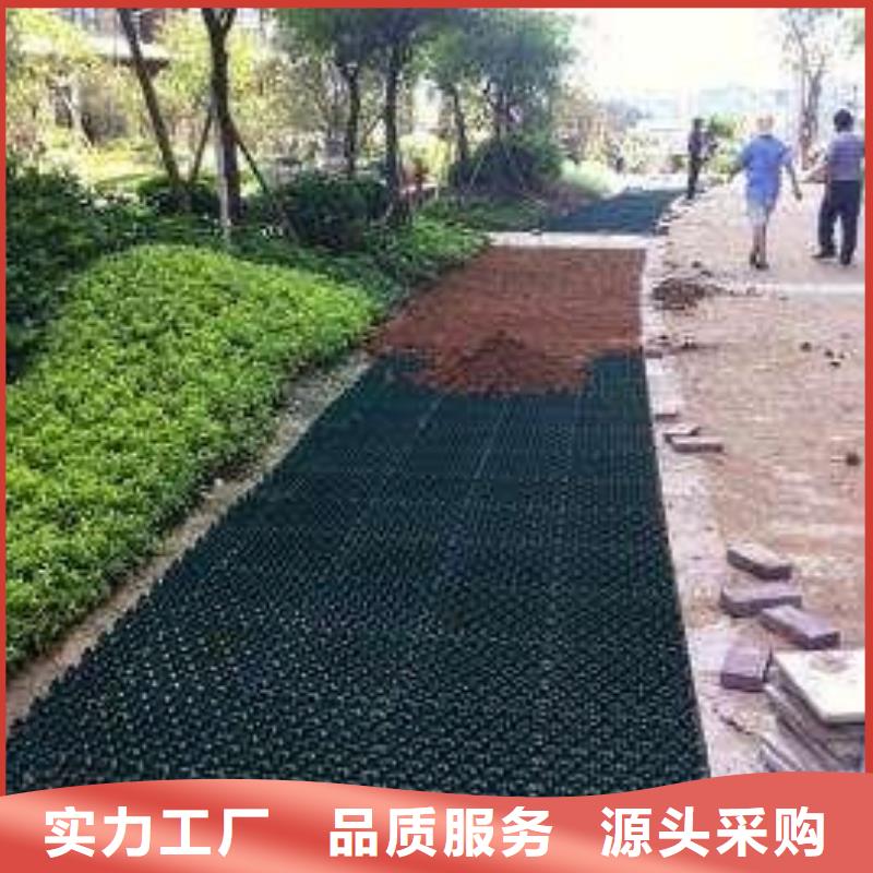 【植草格】 毛细排水板好品质售后无忧同城供应商