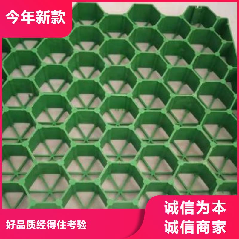植草格_长丝土工布物流配货上门