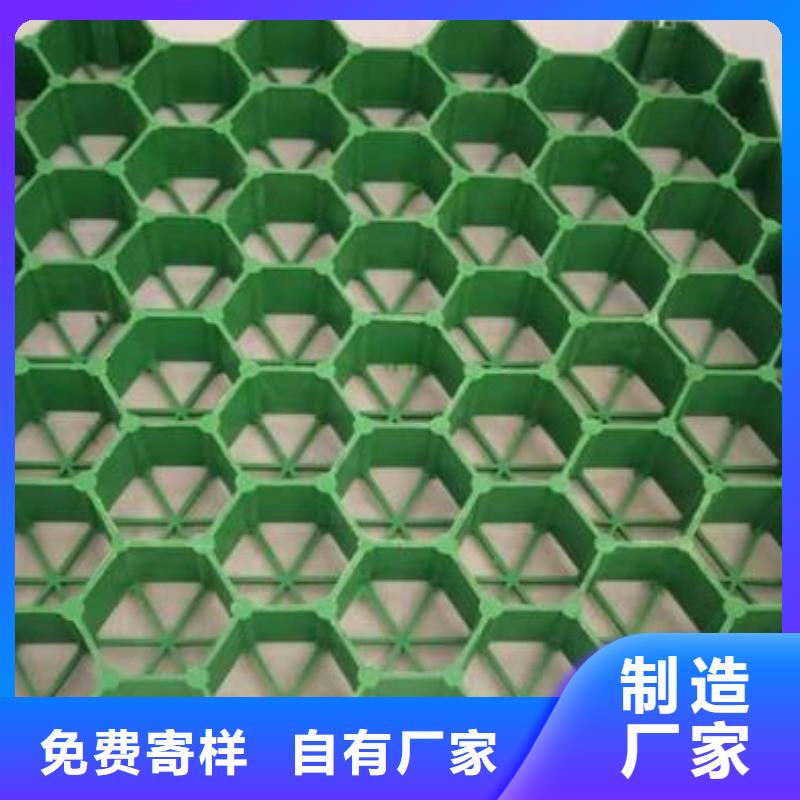 【植草格】 毛细排水板好品质售后无忧同城供应商
