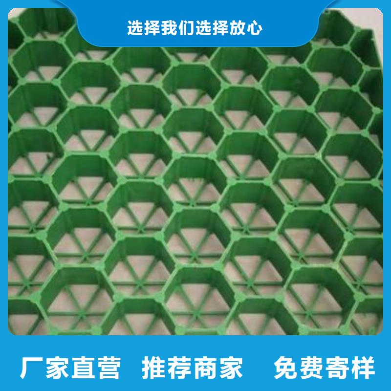 植草格蜂巢格室检验发货