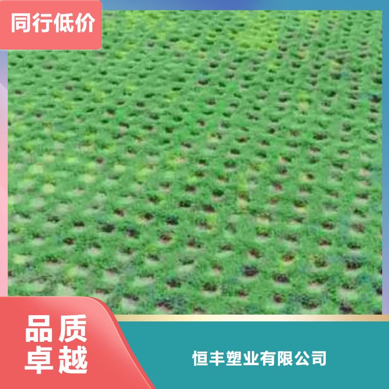 【植草格】 毛细排水板好品质售后无忧同城供应商