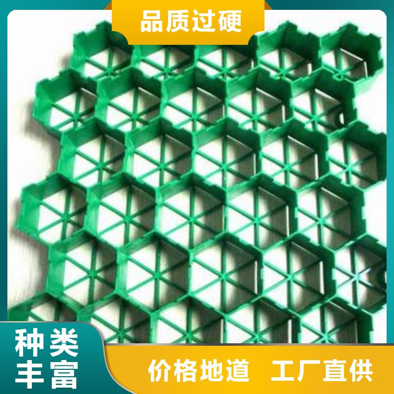 植草格-【塑料土工滤网】长期供应