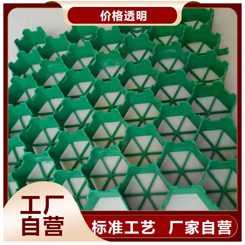 植草格单向塑料土工格栅极速发货