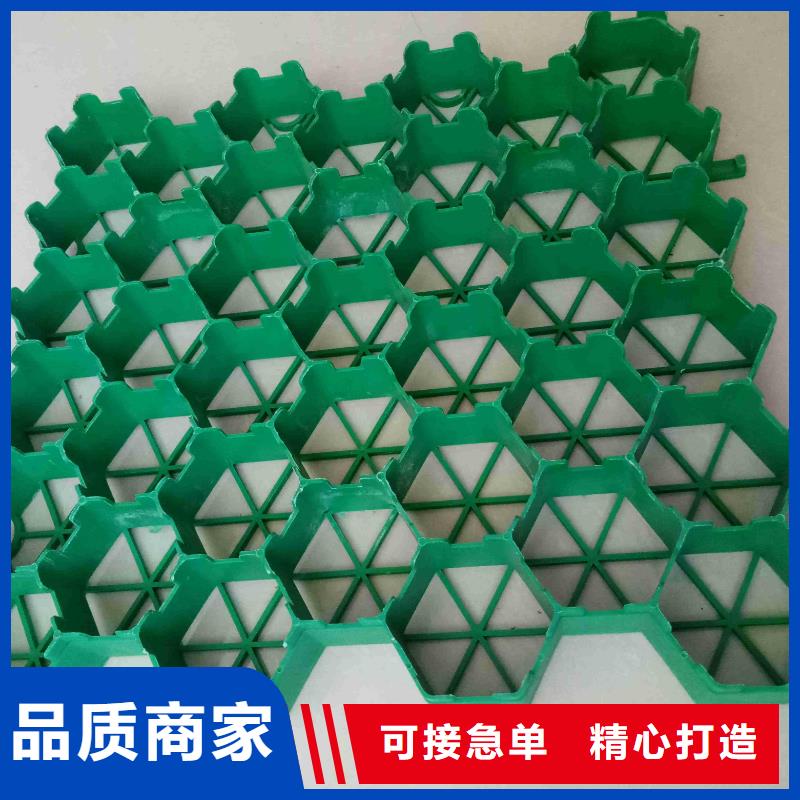 植草格,【三维土工网垫】商家直供