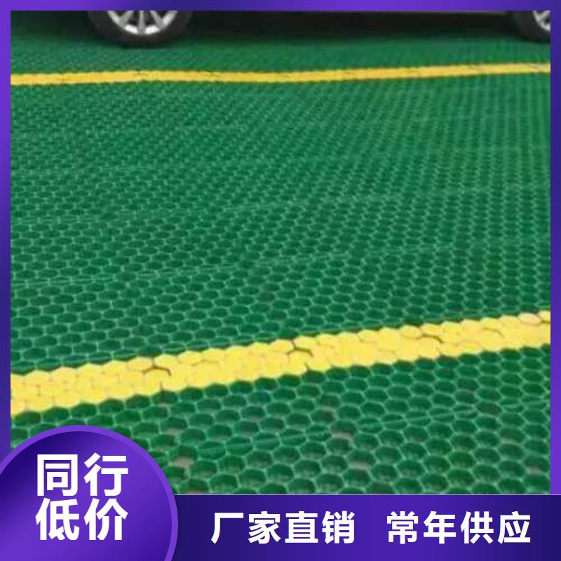 植草格,【三维土工网垫】商家直供