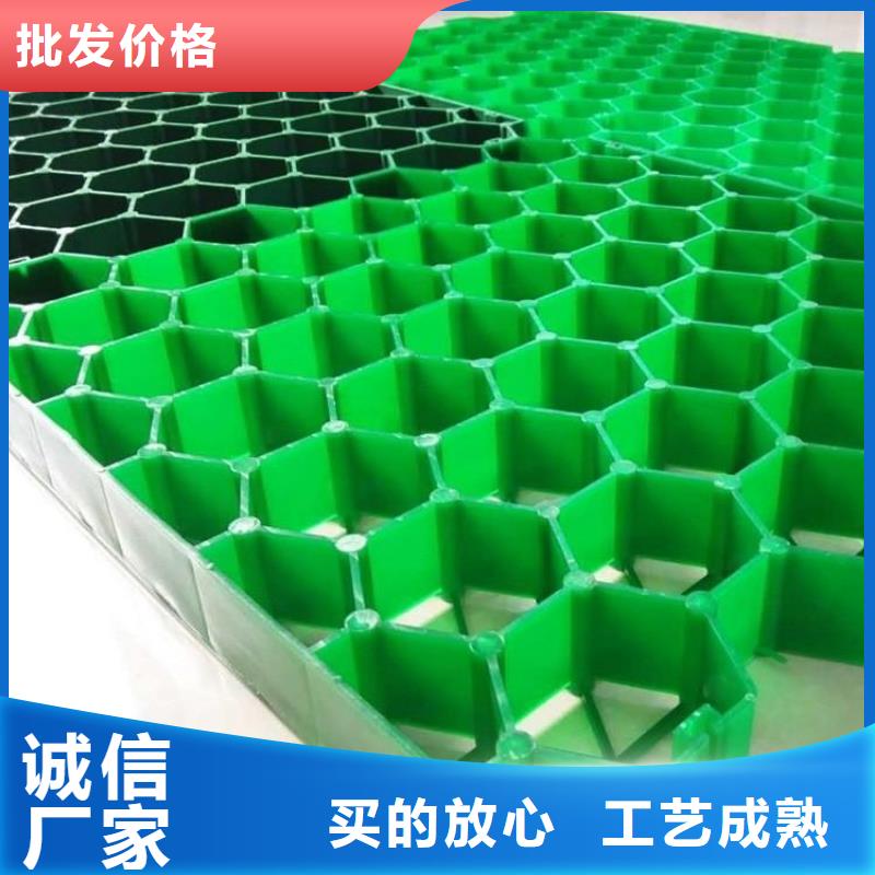 【植草格】 毛细排水板好品质售后无忧同城供应商