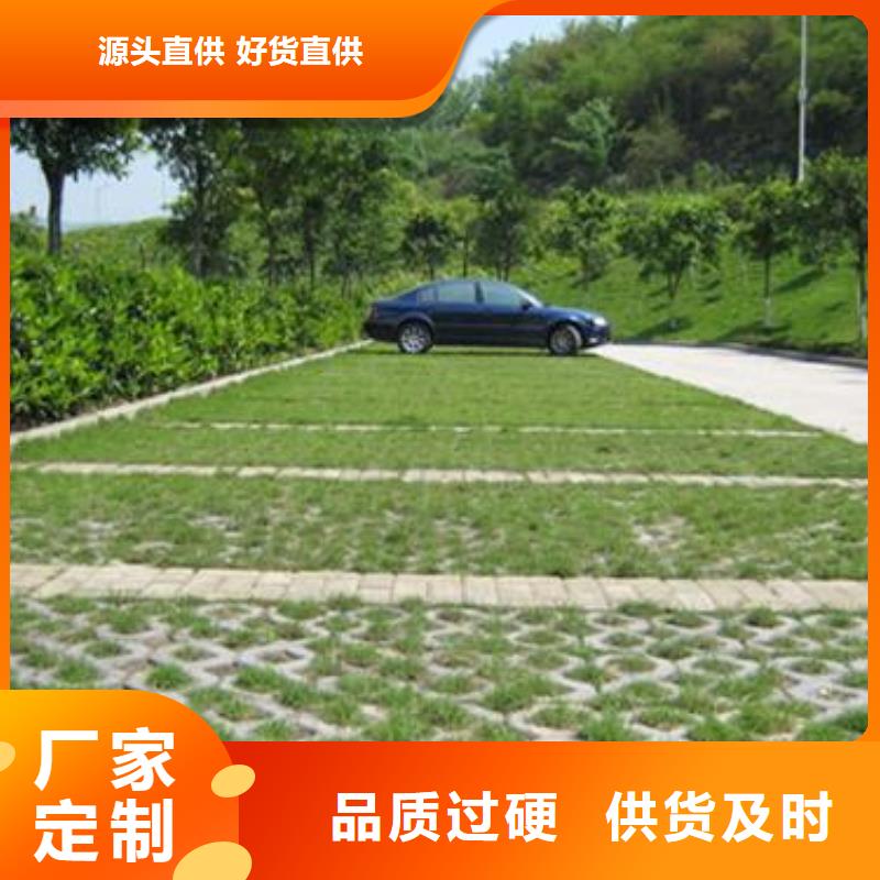 植草格-【塑料土工滤网】长期供应