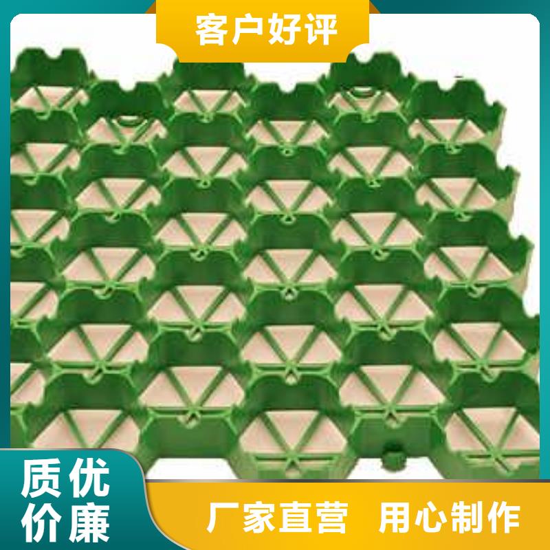 【植草格】 毛细排水板好品质售后无忧同城供应商