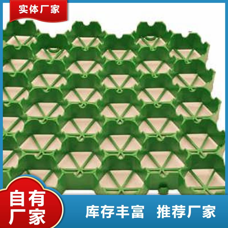 植草格蜂巢格室检验发货