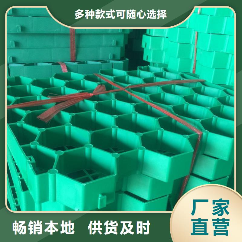 植草格蜂巢格室检验发货