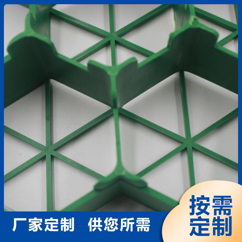 植草格蜂巢格室检验发货