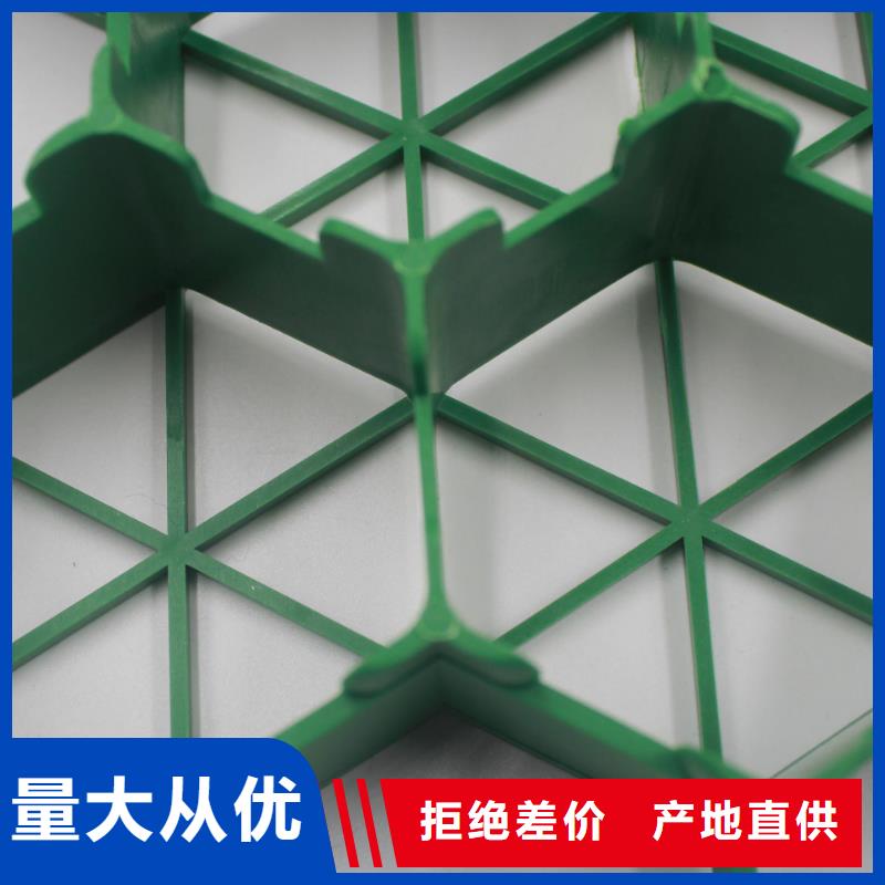 植草格,【三维土工网垫】商家直供