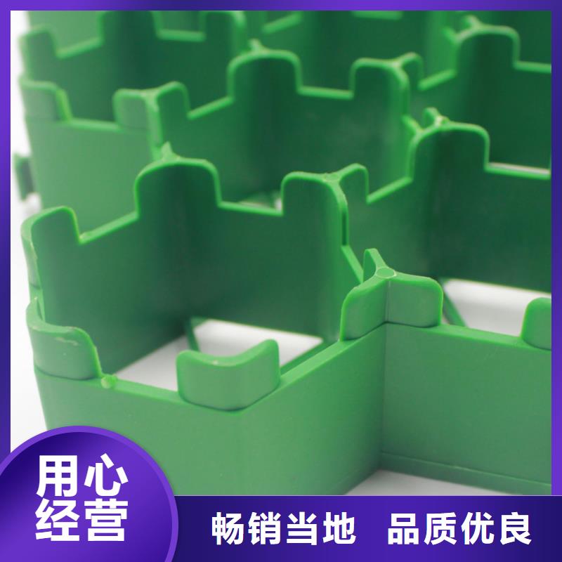 植草格蜂巢格室检验发货