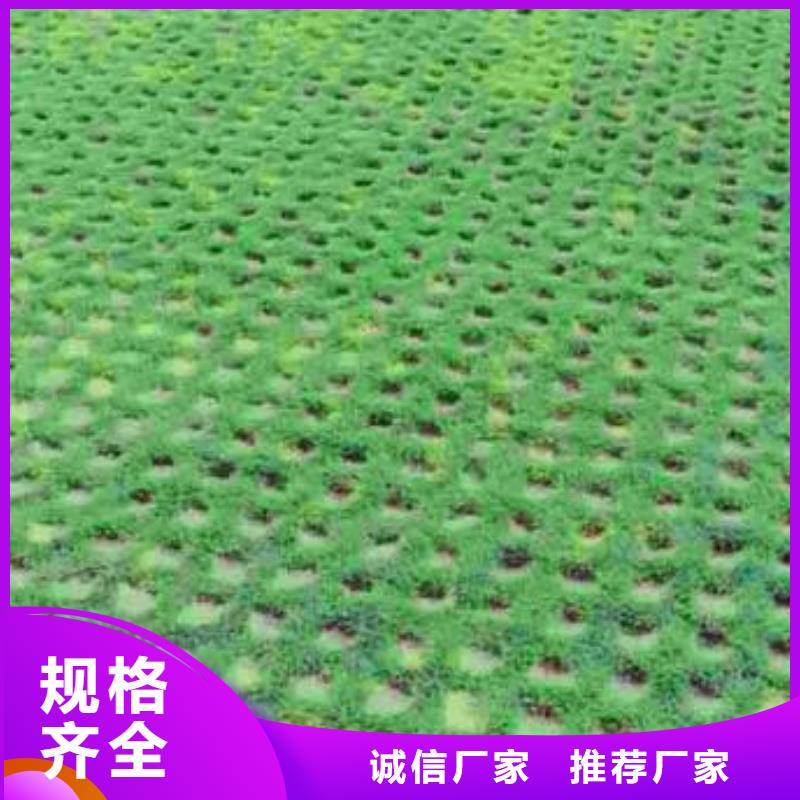 植草格蜂巢格室检验发货