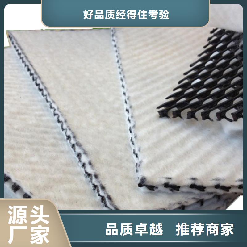 【三维复合排水网】-蜂巢格室专注生产制造多年-恒丰塑业(黔东南市分公司)