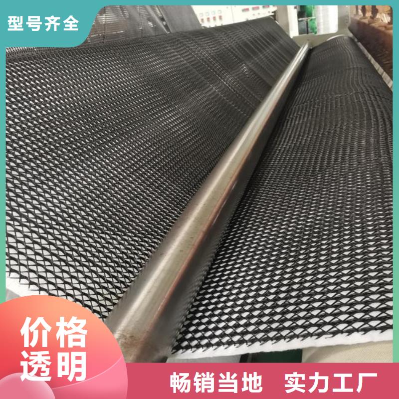 东方市三维复合排水网_塑料排水板价格_蓄排水板厂家