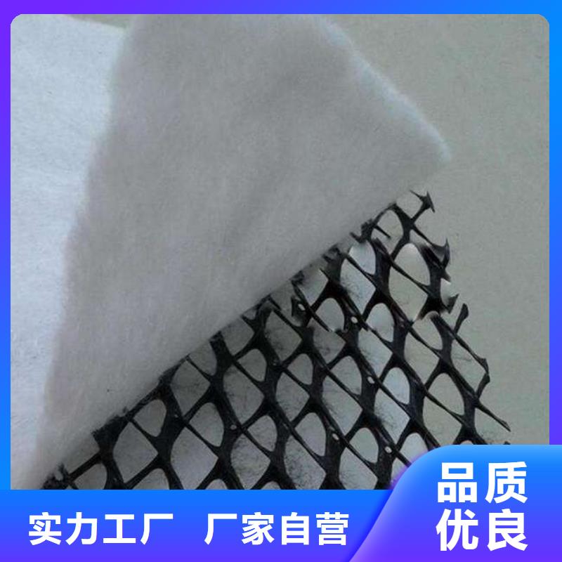 三维复合排水网凸结点钢塑土工格栅厂家供应