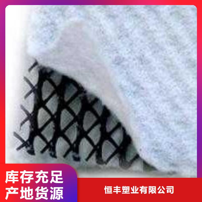 东方市三维复合排水网_塑料排水板价格_蓄排水板厂家