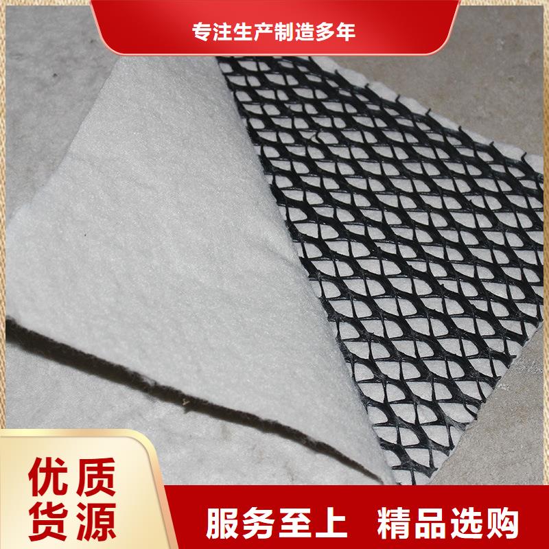 【三维复合排水网】-蜂巢格室专注生产制造多年-恒丰塑业(黔东南市分公司)