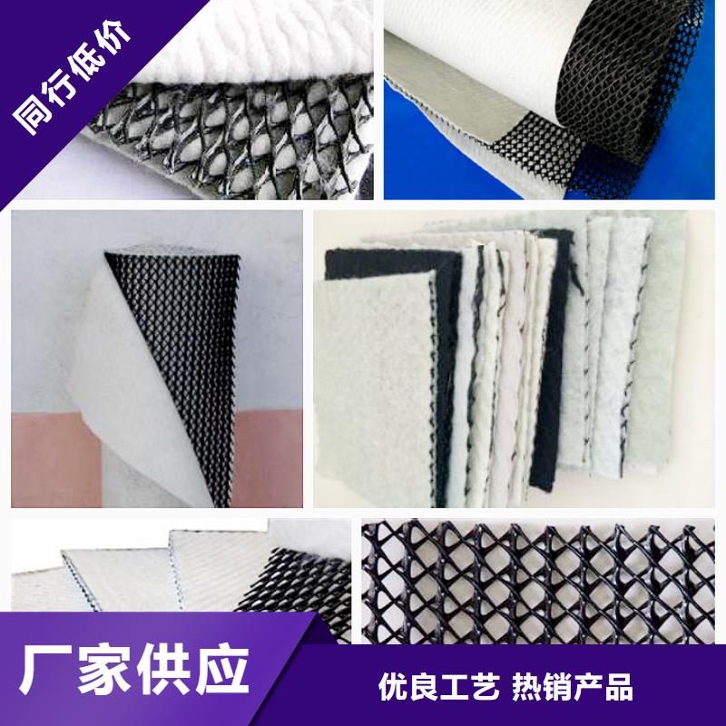 三维复合排水网凸结点钢塑土工格栅厂家供应