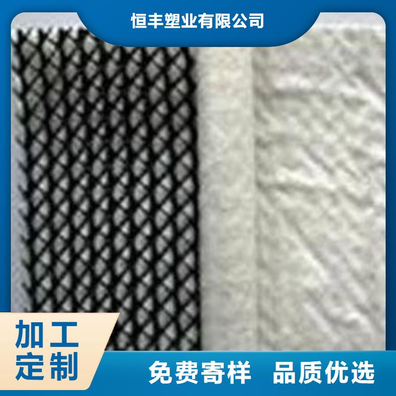 【三维复合排水网】-蜂巢格室专注生产制造多年-恒丰塑业(黔东南市分公司)