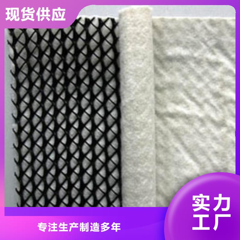 【三维复合排水网】-蜂巢格室专注生产制造多年-恒丰塑业(黔东南市分公司)