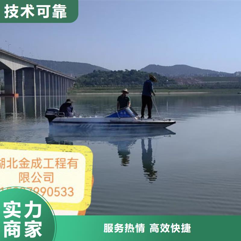 水下摄像检查公司视频-四川省眉山市金成水下工程有限公司水下摄像检查公司可服务区域丹棱|洪雅|宜宾|德阳|攀枝花|甘孜|成都|自贡等
