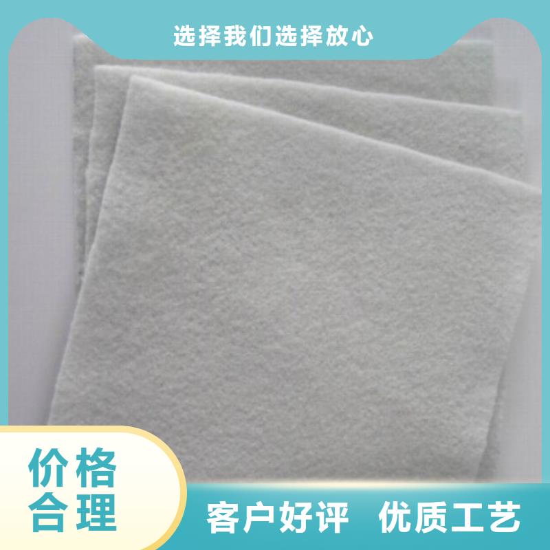 土工布玻纤土工格栅有实力有经验