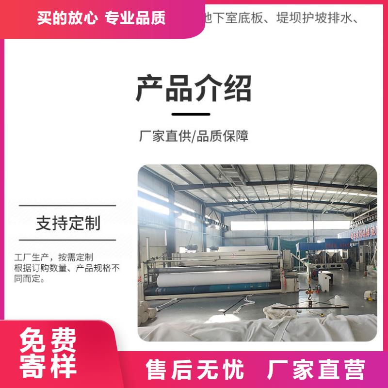 短丝土工布丙纶土工布实力厂家-厂家直销