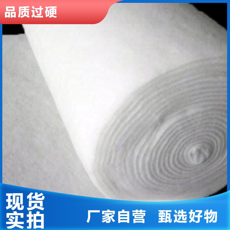 土工布玻纤土工格栅有实力有经验